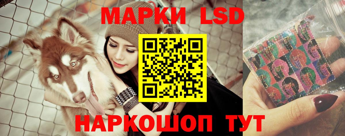 ЛСД экстази  LSD-25 экстази кислота  Вход с VPN  Усть-Кут  LSD-25 экстази кислота 
