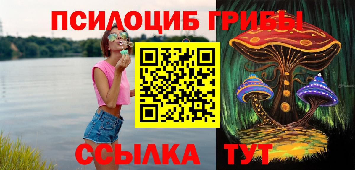 Усть-Кут  Галлюциногенные грибы GOLDEN TEACHER  купить закладку  Псилоцибиновые грибы Psilocybe  Вход с VPN 